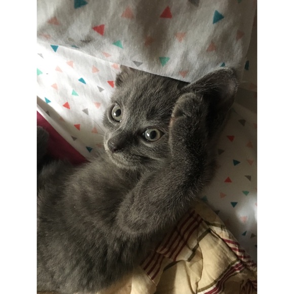 I'm Sarah your usual broke college student. Help. - Picture 3 of 7